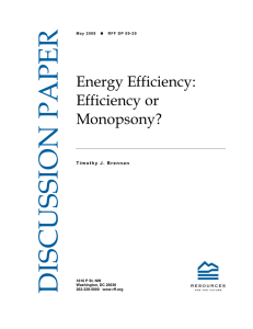 DISCUSSION PAPER Energy Efficiency: Efficiency or