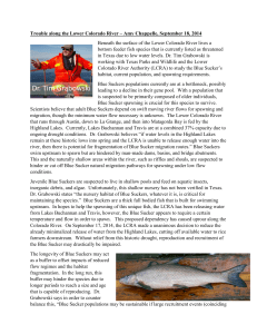 Trouble along the Lower Colorado River – Amy Chappelle, September... Beneath the surface of the Lower Colorado River lives a