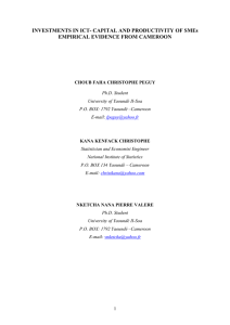 INVESTMENTS IN ICT- CAPITAL AND PRODUCTIVITY OF SMEs