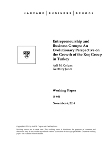 Entrepreneurship and Business Groups: An Evolutionary Perspective on