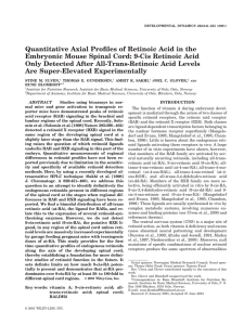 Quantitative Axial Profiles of Retinoic Acid in the