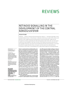 REVIEWS RETINOID SIGNALLING IN THE DEVELOPMENT OF THE CENTRAL NERVOUS SYSTEM