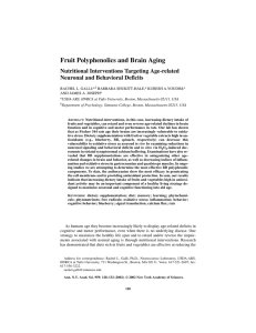 Fruit Polyphenolics and Brain Aging Nutritional Interventions Targeting Age-related