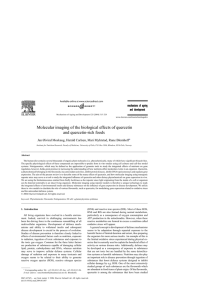 Molecular imaging of the biological effects of quercetin and quercetin-rich foods ∗