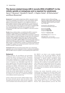 The Aurora-related kinase AIR-2 recruits ZEN-4/CeMKLP1 to the