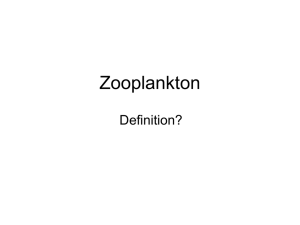Zooplankton Definition?