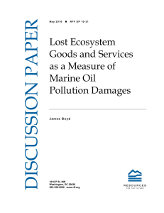 DISCUSSION PAPER Lost Ecosystem Goods and Services