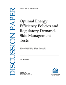 DISCUSSION PAPER Optimal Energy Efficiency Policies and