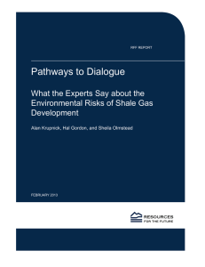 Pathways to Dialogue What the Experts Say about the Development