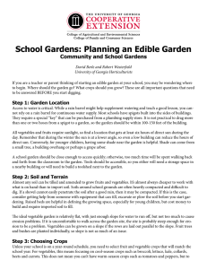 School Gardens: Planning an Edible Garden Community and School Gardens