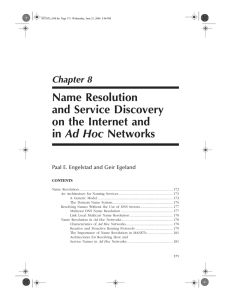 Name Resolution and Service Discovery on the Internet and