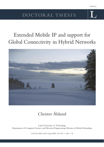 Extended Mobile IP and support for Global Connectivity in Hybrid Networks