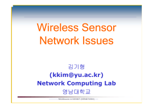 Wireless Sensor Network Issues 김기형 영남대학교