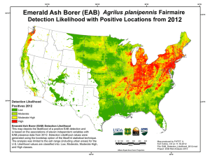 Emerald Ash Borer (EAB)  2012 Agrilus planipennis