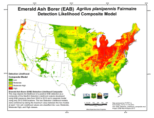 Emerald Ash Borer (EAB)  Agrilus planipennis Fairmaire
