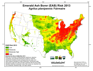 Emerald Ash Borer (EAB) Risk 2013 Agrilus planipennis Fairmaire