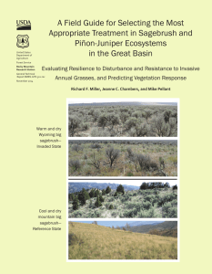A Field Guide for Selecting the Most Piñon-Juniper Ecosystems