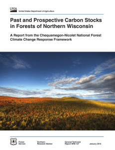 Past and Prospective Carbon Stocks in Forests of Northern Wisconsin