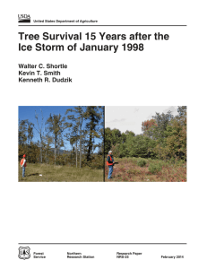 Tree Survival 15 Years after the Ice Storm of January 1998