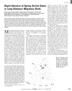 Rapid Advance of Spring Arrival Dates in Long-Distance Migratory Birds