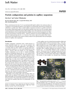 Particle configurations and gelation in capillary suspensions