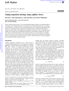 Tuning suspension rheology using capillary forces