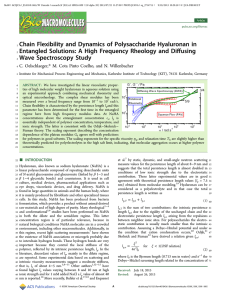 Chain Flexibility and Dynamics of Polysaccharide Hyaluronan in ﬀusing