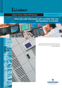 TRUE ON-LINE SINEWAVE UPS SYSTEM FOR THE NETWORKED ECONOMY