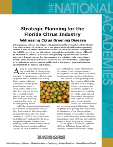 Strategic Planning for the Florida Citrus Industry Addressing Citrus Greening Disease