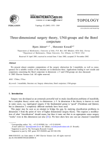 Three-dimensional surgery theory, UNil-groups and the Borel conjecture Bj rn Jahren