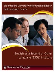 English as a Second or Other Language (ESOL) Institute