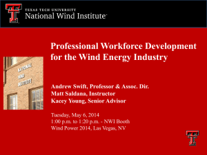 Professional Workforce Development for the Wind Energy Industry Matt Saldana, Instructor