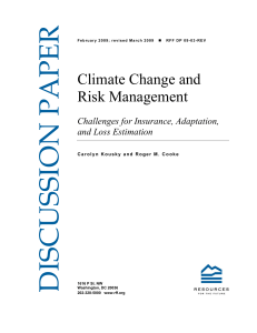 DISCUSSION PAPER Climate Change and Risk Management