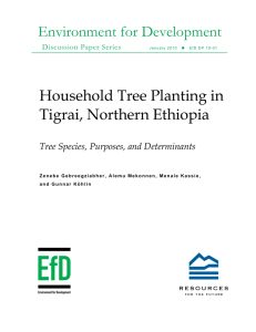 Environment for Development Household Tree Planting in Tigrai, Northern Ethiopia