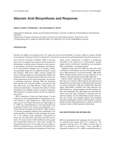 Abscisic Acid Biosynthesis and Response Authors: Ruth R. Finkelstein