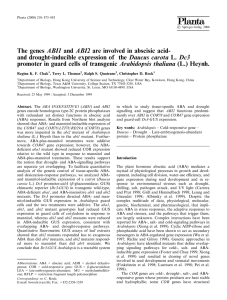 The genes ABI1 and ABI2 are involved in abscisic acid-