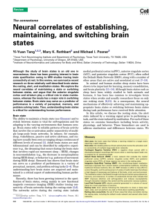 Neural correlates of establishing,