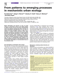 From patterns to emerging processes in mechanistic urban ecology Eyal Shochat