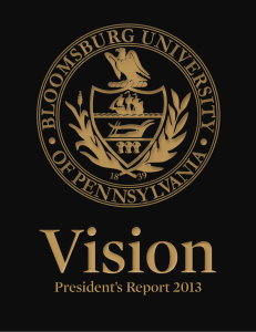 Vision President’s Report 2013