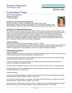 Curriculum Vitae Kimberly Mortstock :