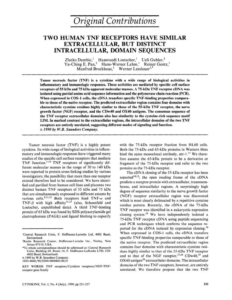 original-contributions-two-human-extracellular