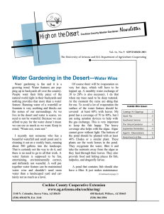 Newsletter High on the Desert