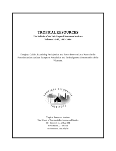 TROPICAL RESOURCES