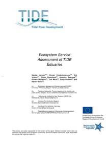 Ecosystem Service Assessment of TIDE Estuaries