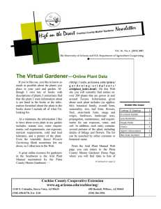 Newsletter High on the Desert The Virtual Gardener —
