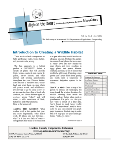 Newsletter High on the Desert Introduction to Creating a Wildlife Habitat