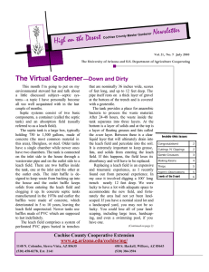 Newsletter High on the Desert The Virtual Gardener