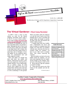 Newsletter High on the Desert The Virtual Gardener —