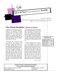 Newsletter High on the Desert The Virtual Gardener —