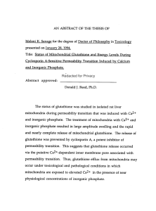 Melani K. Savage for the degree of Doctor of Philosophy... Title: Status of Mitochondrial Glutathione and Energy Levels During